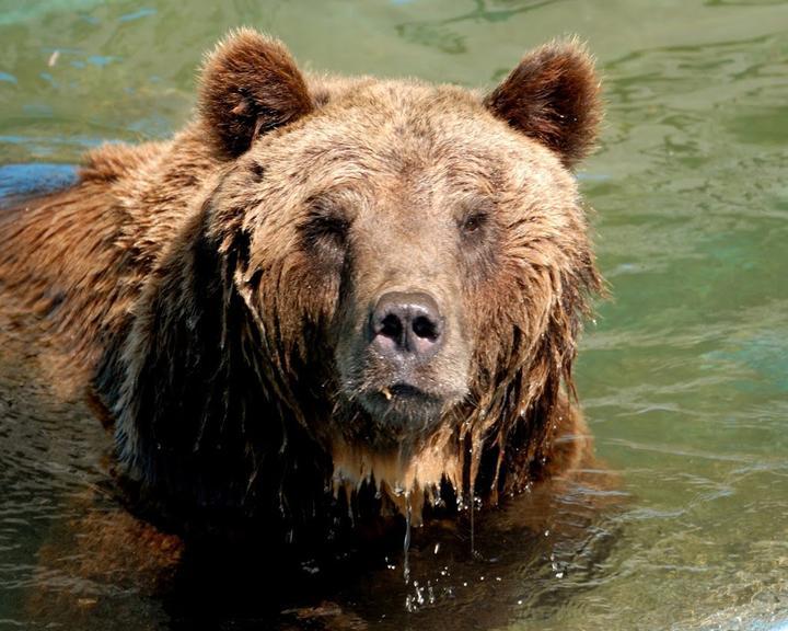 Wild- Und Freizeitpark